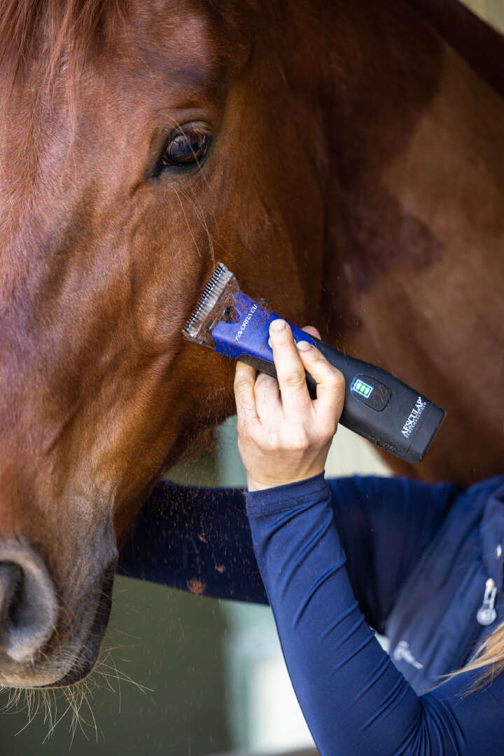 AESCULAP Akkuschermaschine Favorita CLi